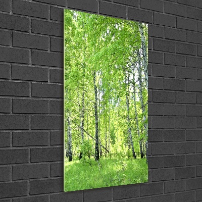 Glass picture wall art Birch forest