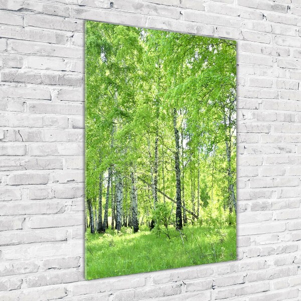 Glass picture wall art Birch forest