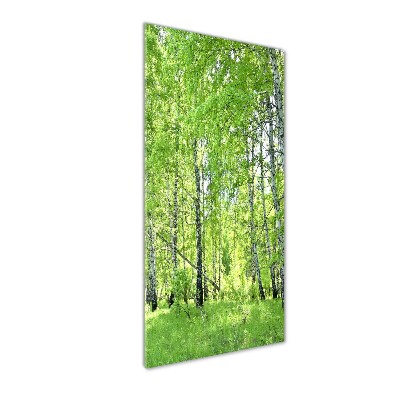 Glass picture wall art Birch forest