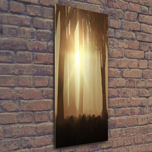 Printed glass wall art Fog in the forest