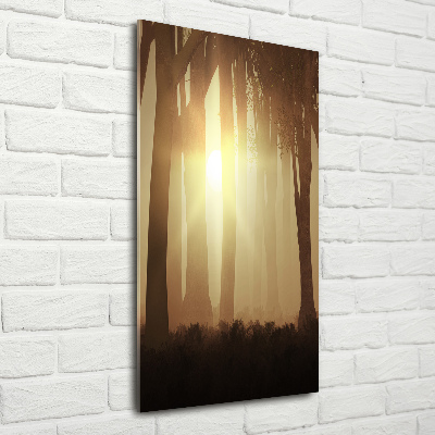 Printed glass wall art Fog in the forest