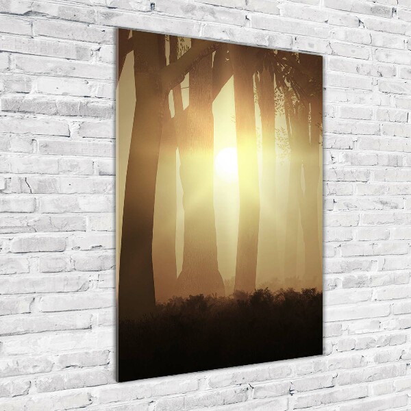 Printed glass wall art Fog in the forest