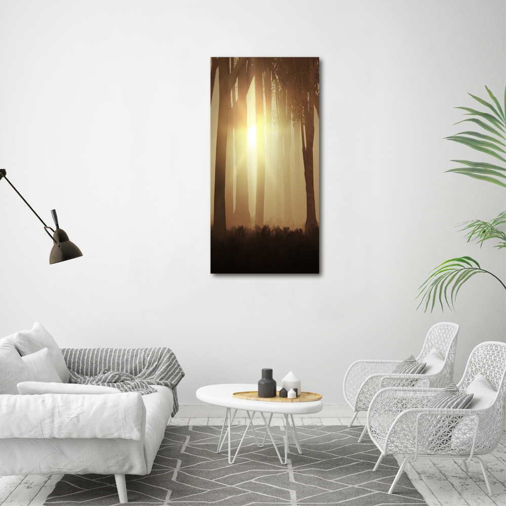 Printed glass wall art Fog in the forest