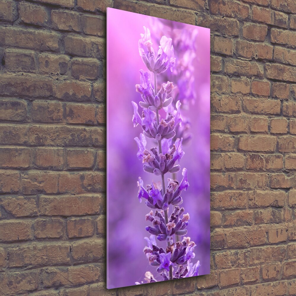 Glass picture wall art Lavender field