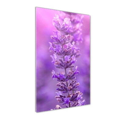 Glass picture wall art Lavender field