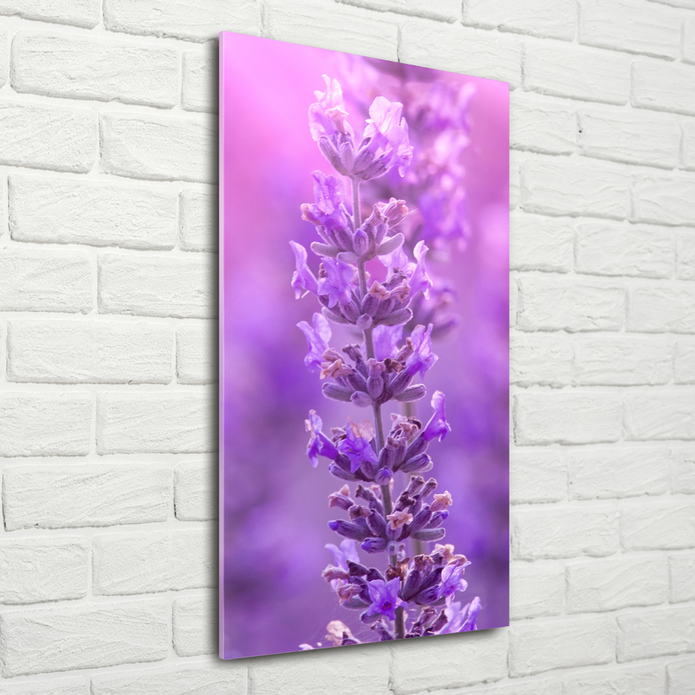 Glass picture wall art Lavender field