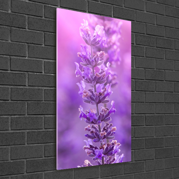 Glass picture wall art Lavender field