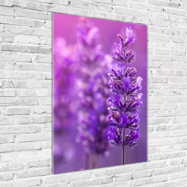 Glass picture wall art Lavender field