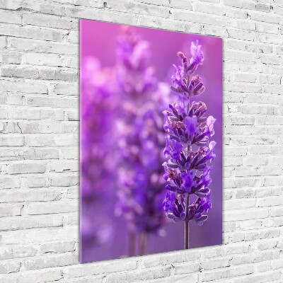 Glass picture wall art Lavender field