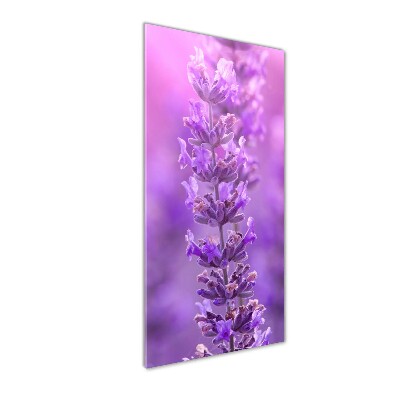 Glass picture wall art Lavender field