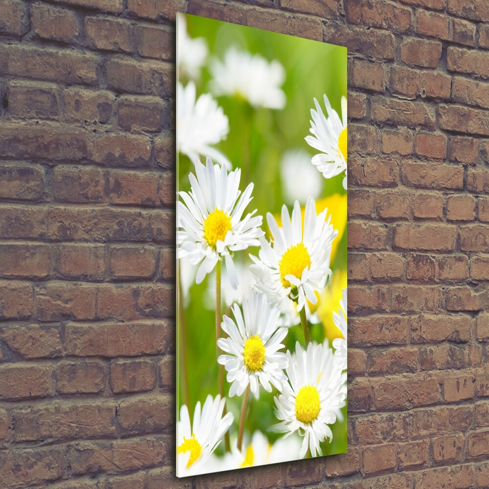 Printed glass wall art Daisy