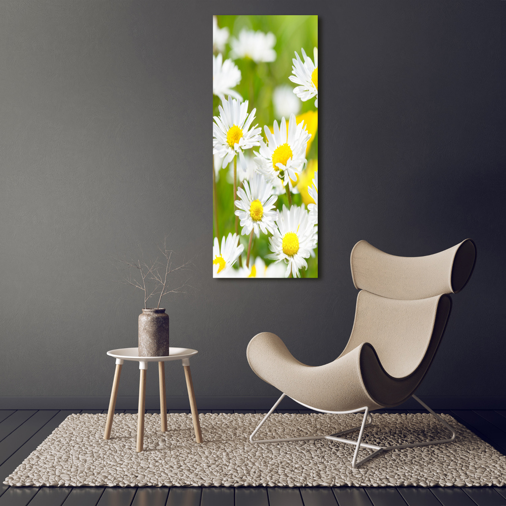 Printed glass wall art Daisy