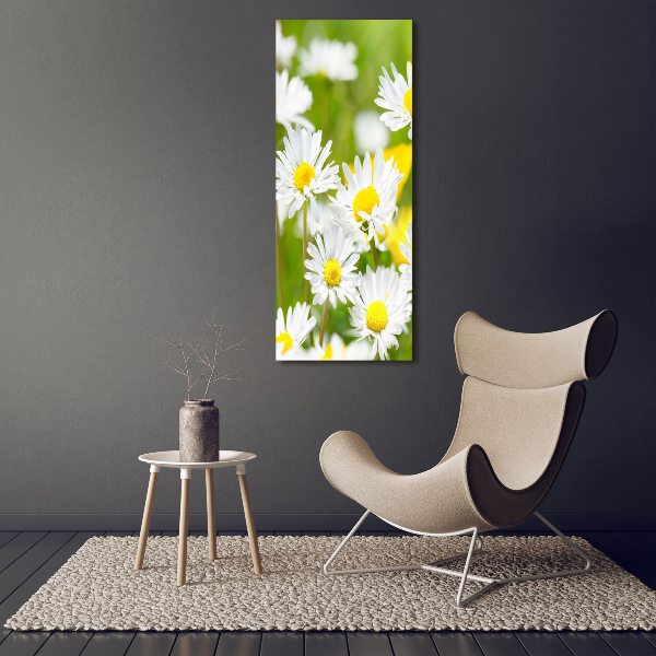 Printed glass wall art Daisy