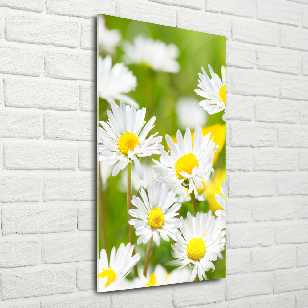 Printed glass wall art Daisy