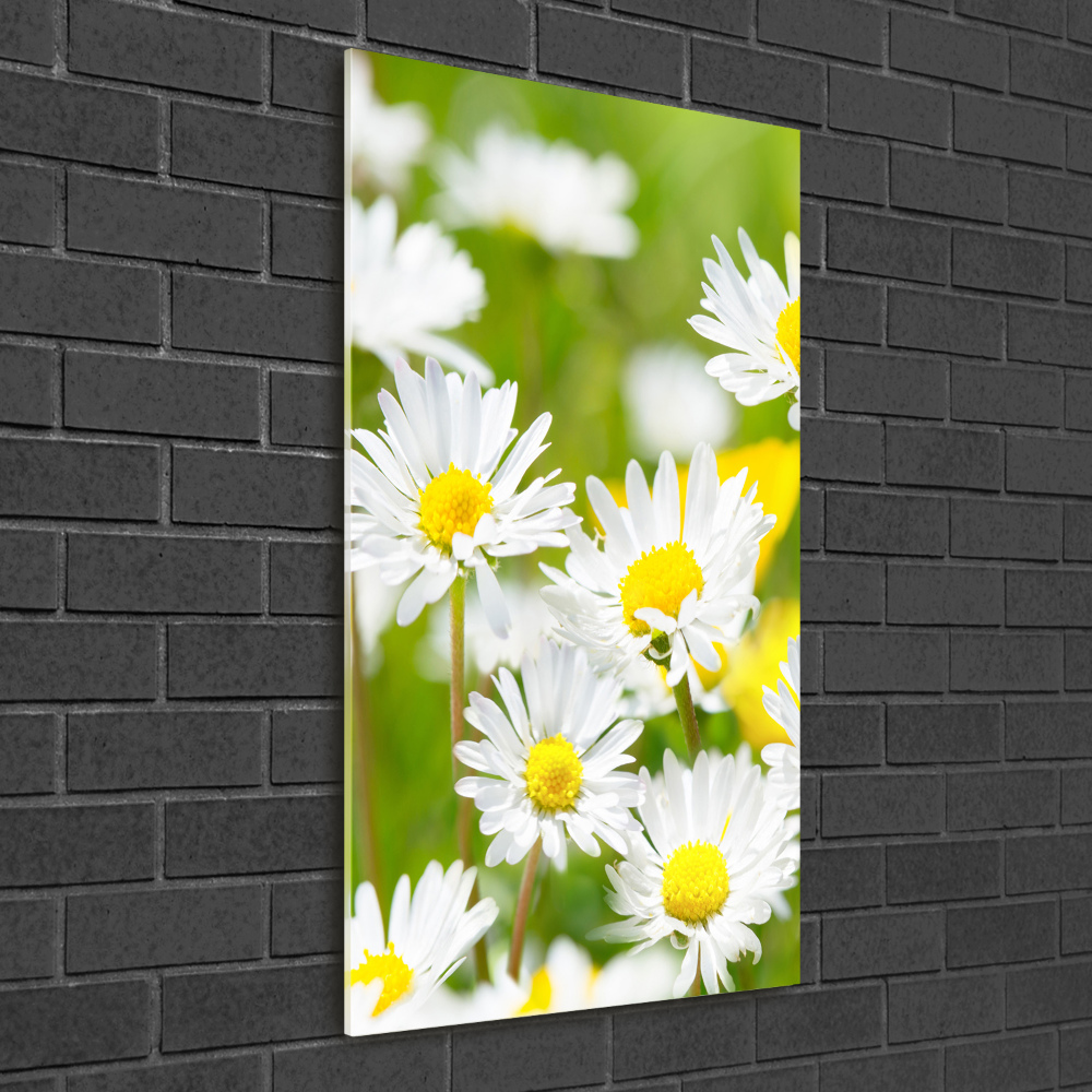 Printed glass wall art Daisy