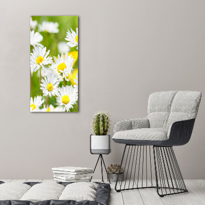 Printed glass wall art Daisy