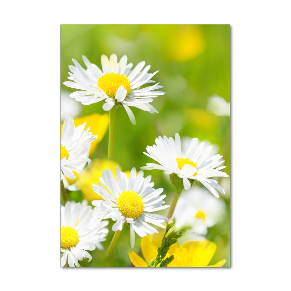 Printed glass wall art Daisy