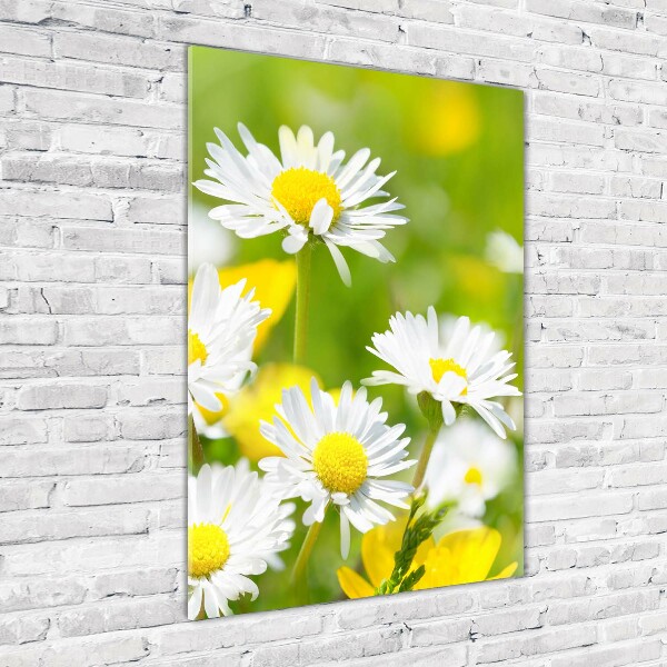 Printed glass wall art Daisy