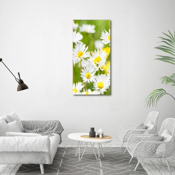 Printed glass wall art Daisy