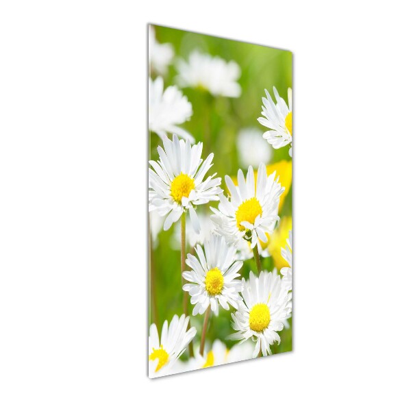 Printed glass wall art Daisy