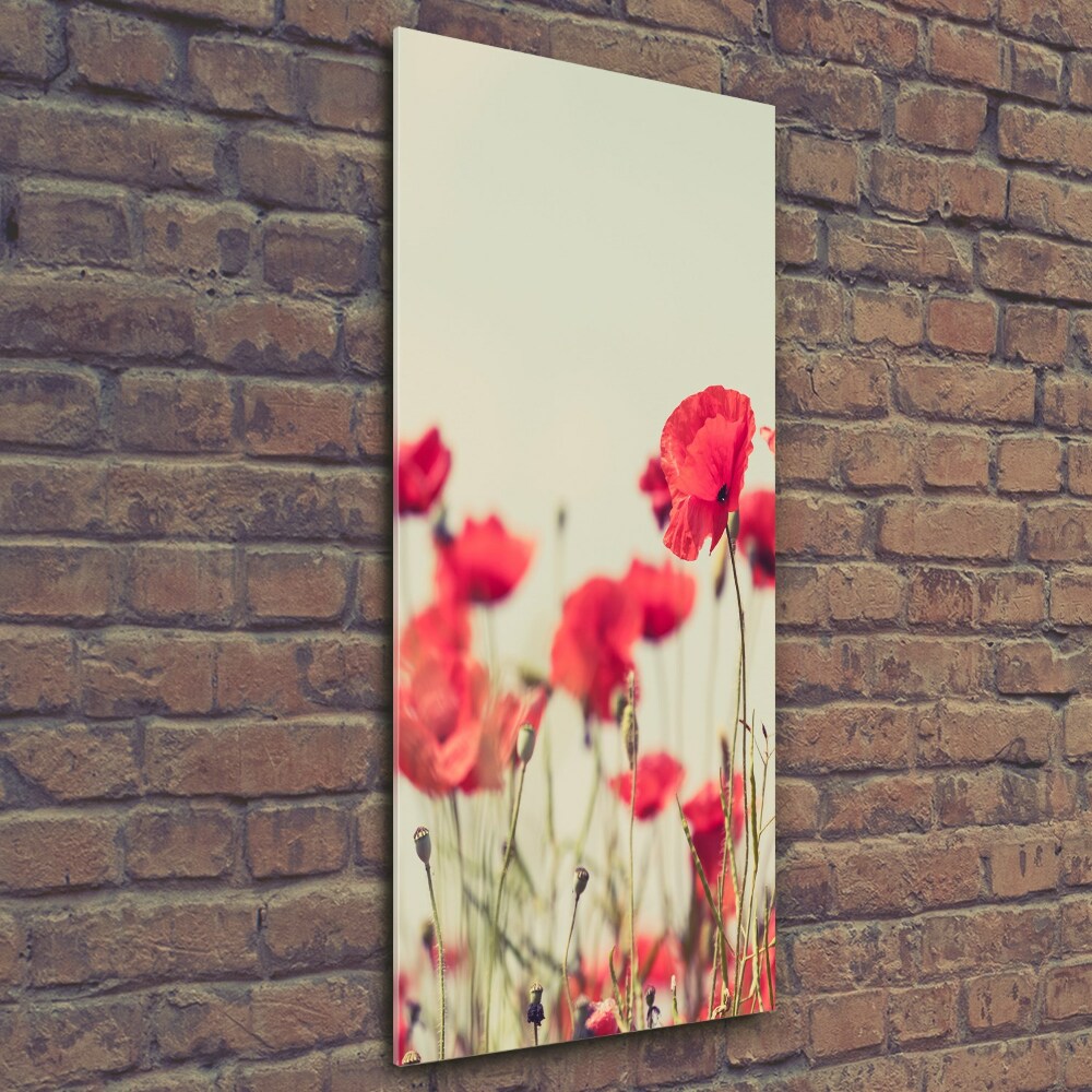 Photo printed on glass Field poppies