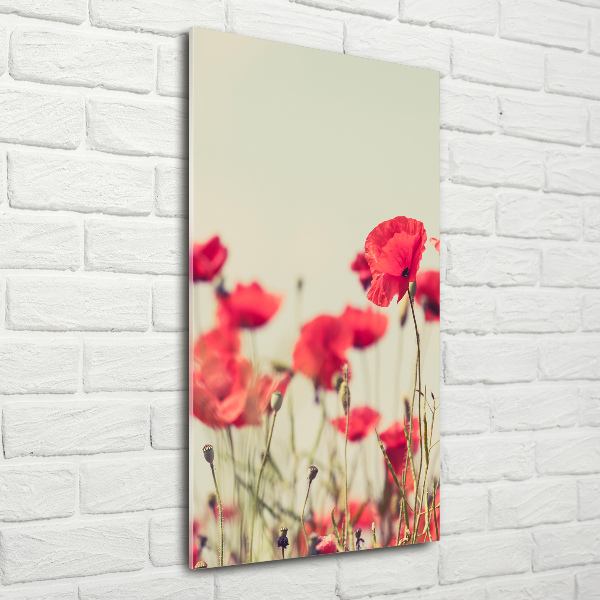 Photo printed on glass Field poppies