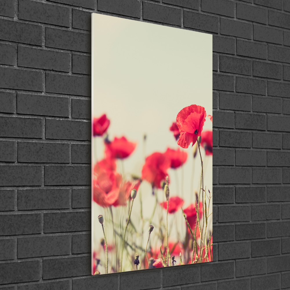 Photo printed on glass Field poppies