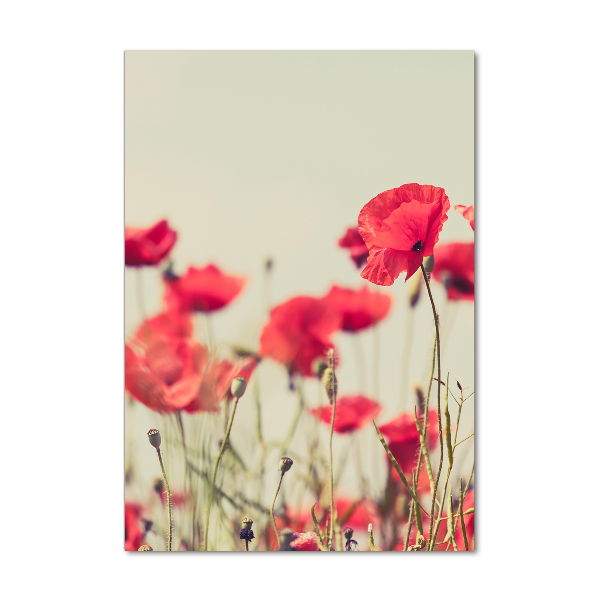 Photo printed on glass Field poppies