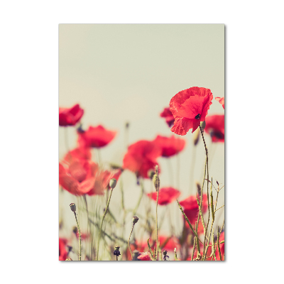 Photo printed on glass Field poppies