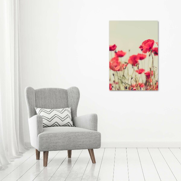 Photo printed on glass Field poppies