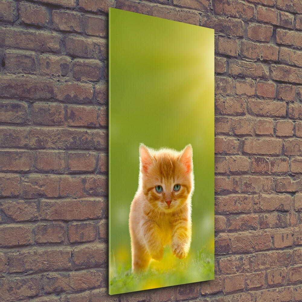 Wall art on glass Red Cat