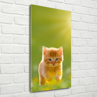 Wall art on glass Red Cat