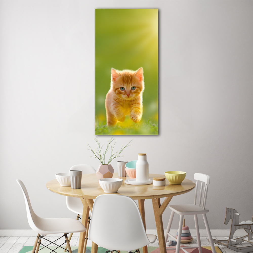 Wall art on glass Red Cat