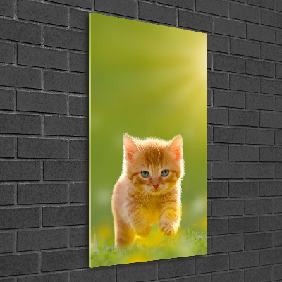 Wall art on glass Red Cat