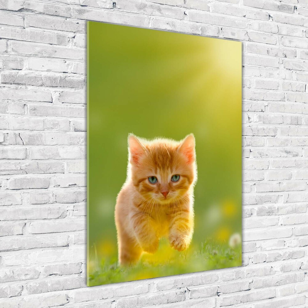 Wall art on glass Red Cat