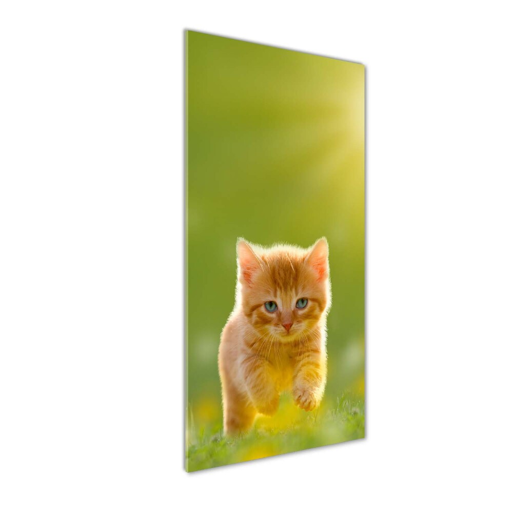 Wall art on glass Red Cat