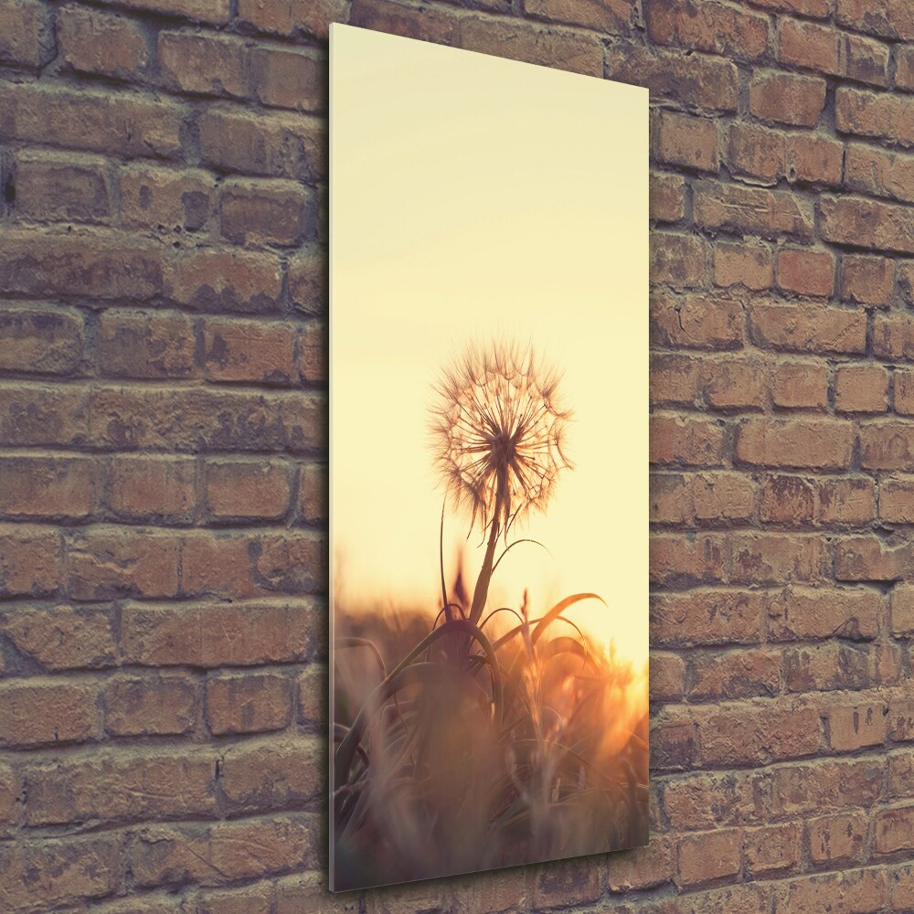 Printed glass wall art Dandelion