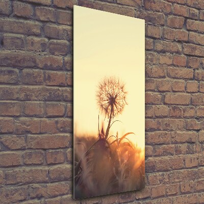 Printed glass wall art Dandelion