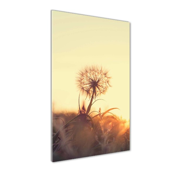 Printed glass wall art Dandelion