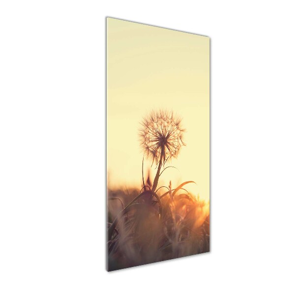 Printed glass wall art Dandelion