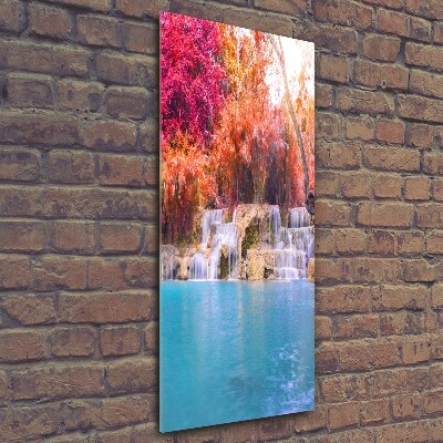 Wall art on glass Waterfall in the forest