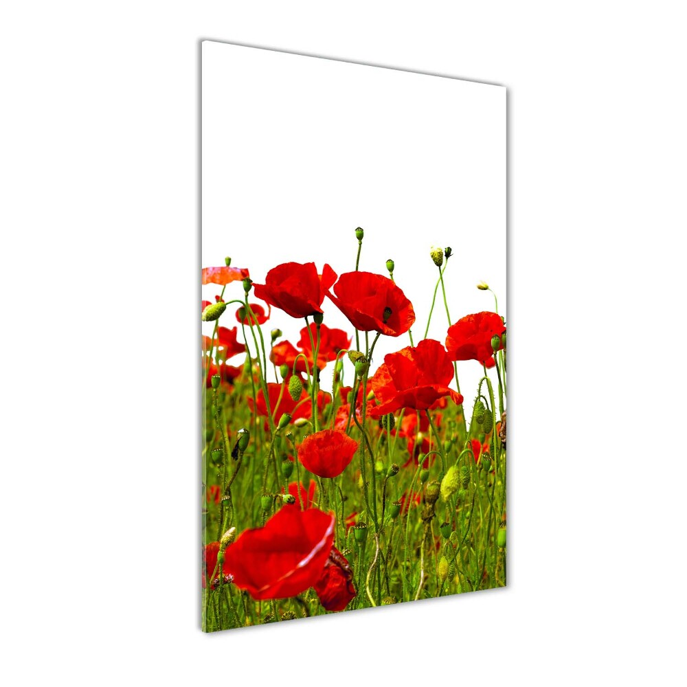 Printed glass wall art Mak field