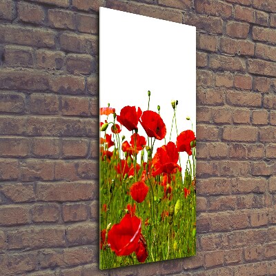 Printed glass wall art Mak field