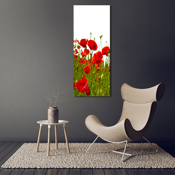 Printed glass wall art Mak field