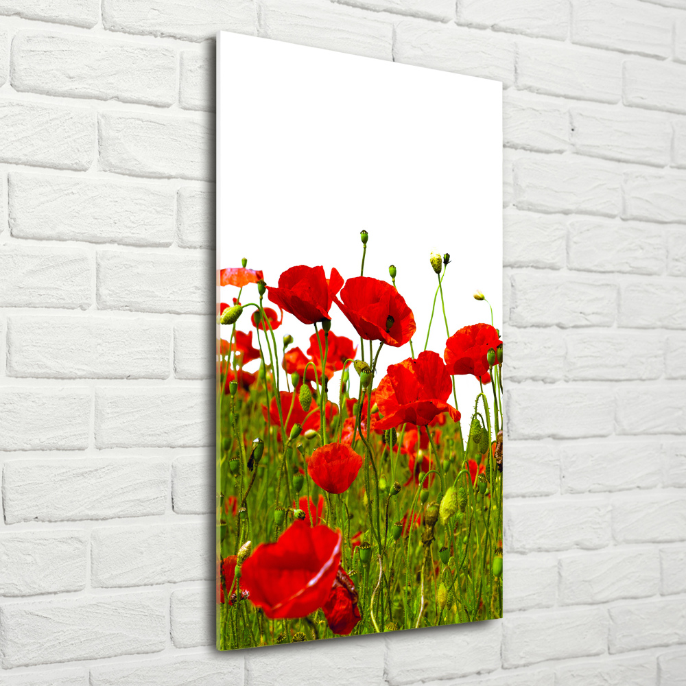 Printed glass wall art Mak field