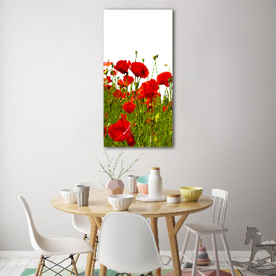 Printed glass wall art Mak field