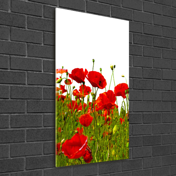 Printed glass wall art Mak field