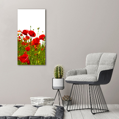 Printed glass wall art Mak field