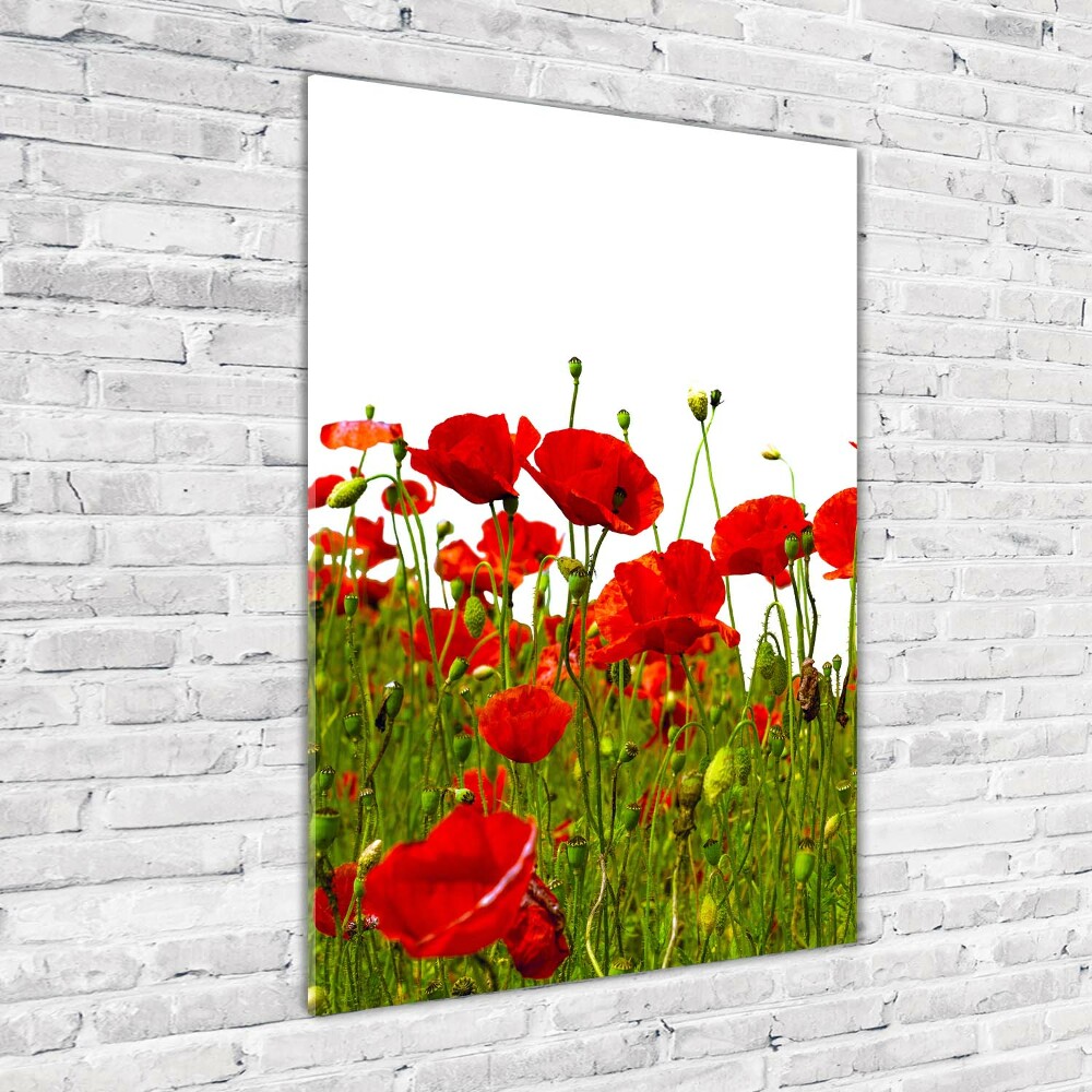 Printed glass wall art Mak field