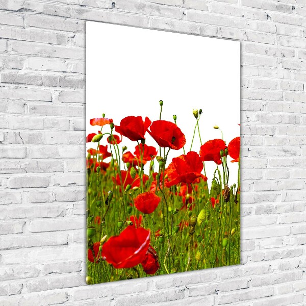 Printed glass wall art Mak field